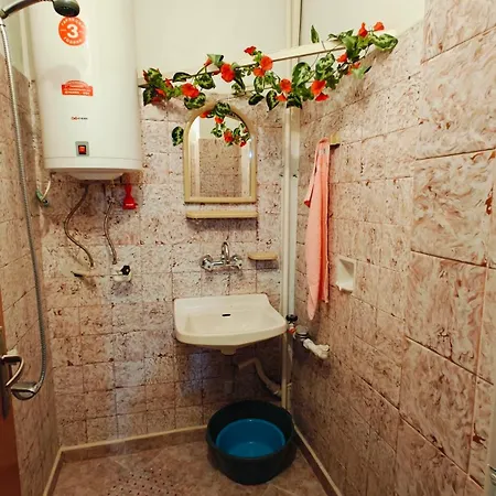 димови