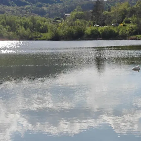 димови Tryavna