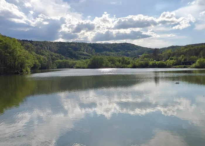 димови * Trjavna