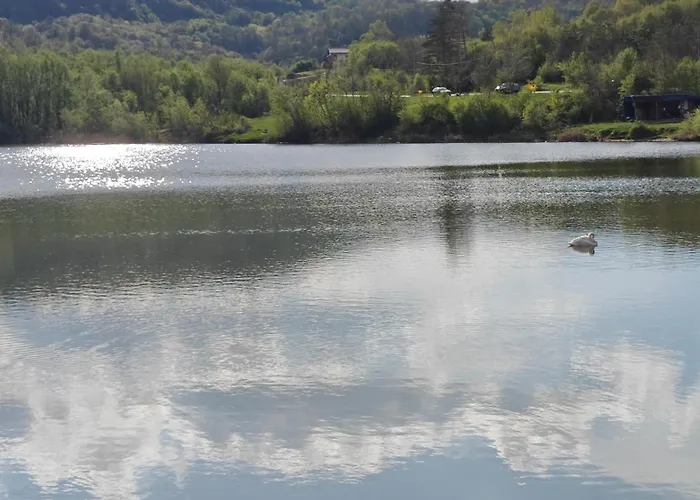 димови Trjavna