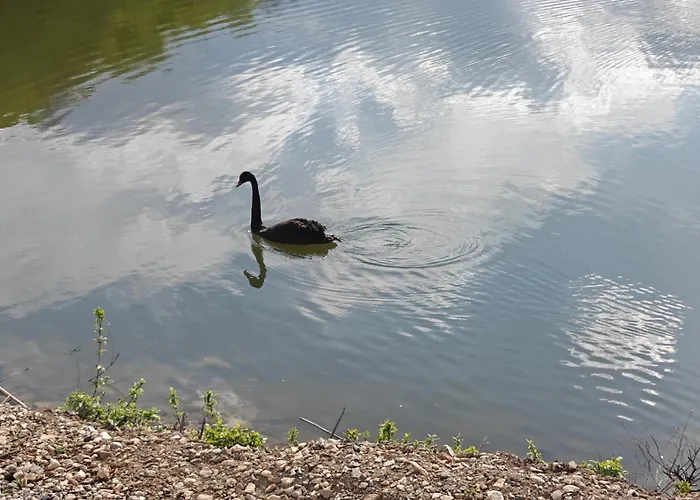 димови Appartement